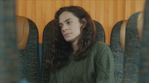 Capítulo 14 | Capítulos