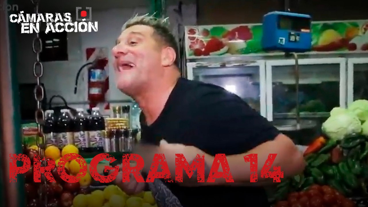 Programa 14 | Programas