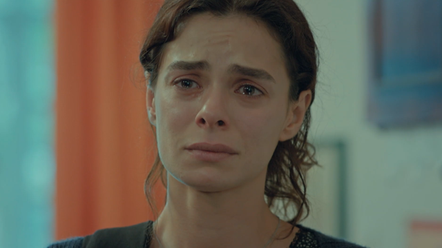 Capítulo 24 | Capítulos