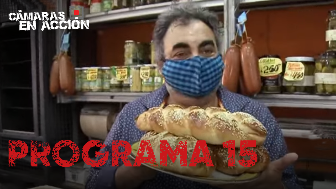 Programa 15 | Programas