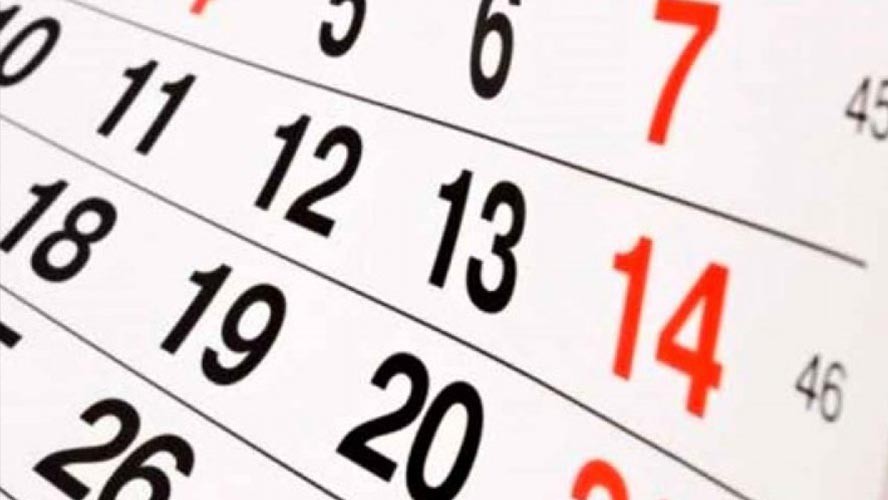 ¿Cuándo es el próximo feriado de noviembre? | Sociedad