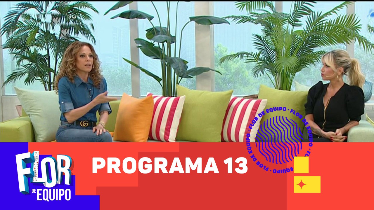 Programa 13 | Programas