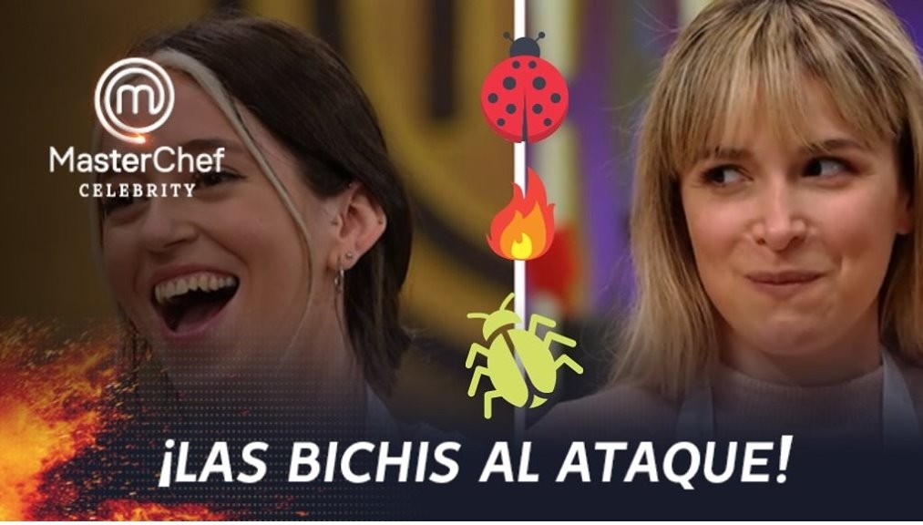 Team Bichis | Exclusivos