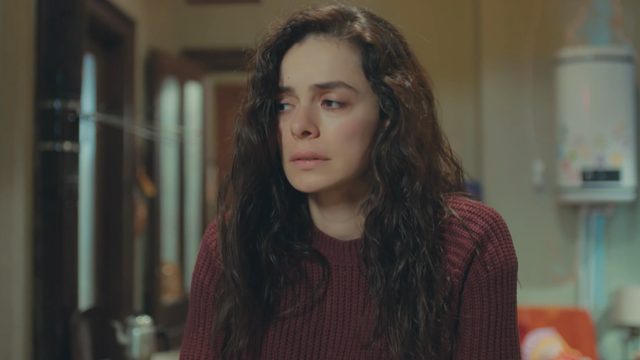 Capítulo 40 | Capítulos