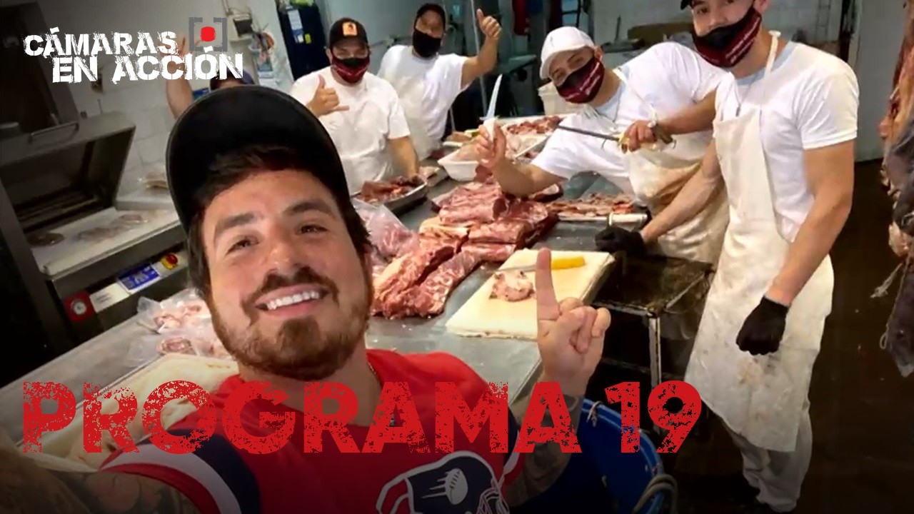 Programa 19 | Programas