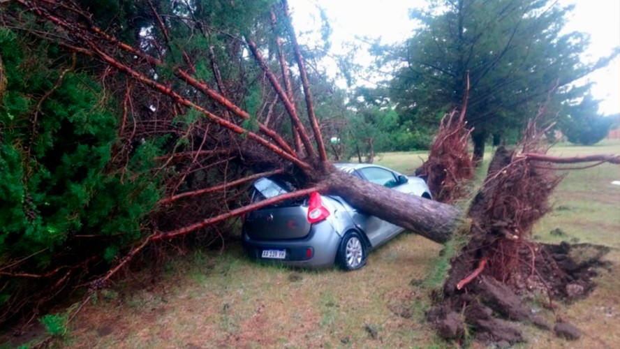 Tornado en la provincia de Buenos Aires | Sociedad