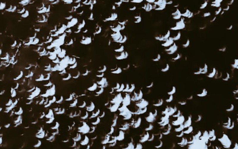 El increíble efecto que generó el eclipse en las calles | Curiosidades