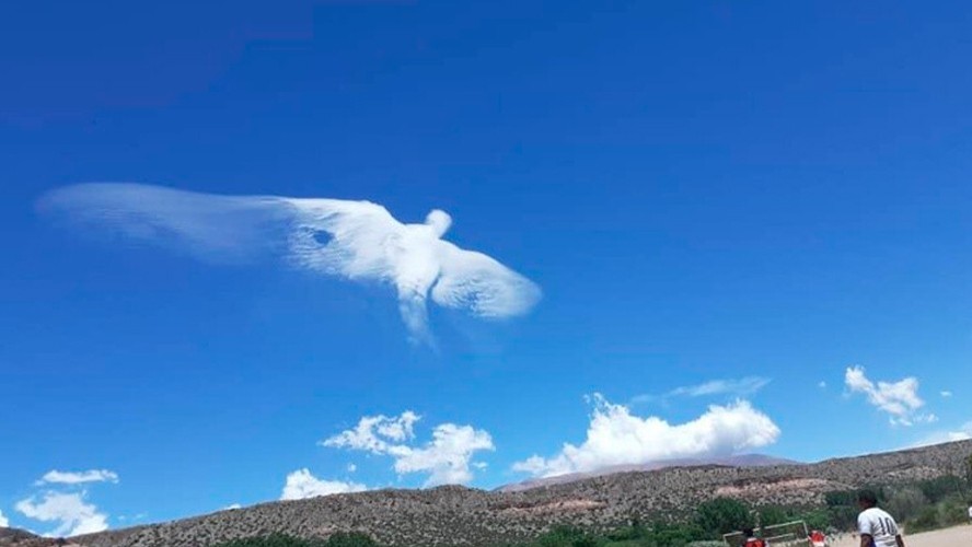 Una nueva aparición del Diego | Curiosidades