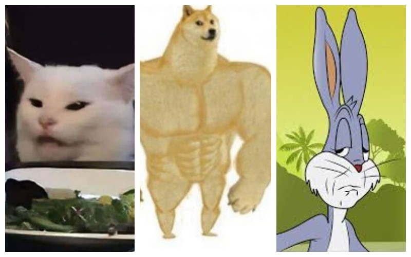 Los memes que nos salvaron el 2020 | Virales