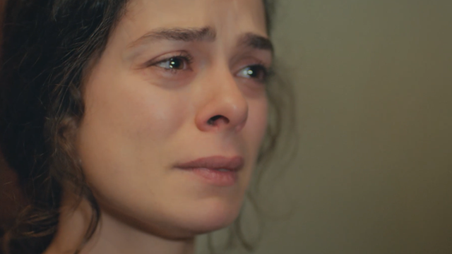 Capítulo 78 | Capítulos