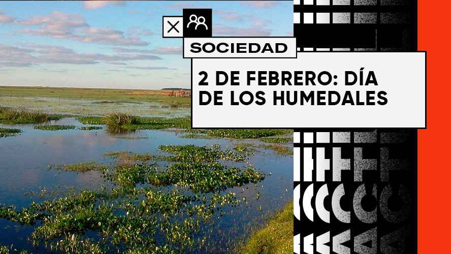 Día de los humedales: ¿Qué son y por qué son tan importantes? | Sociedad