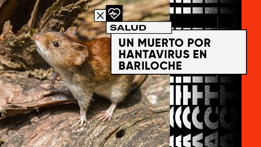 Hantavirus: ¿peligro de rebrote? | Sociedad