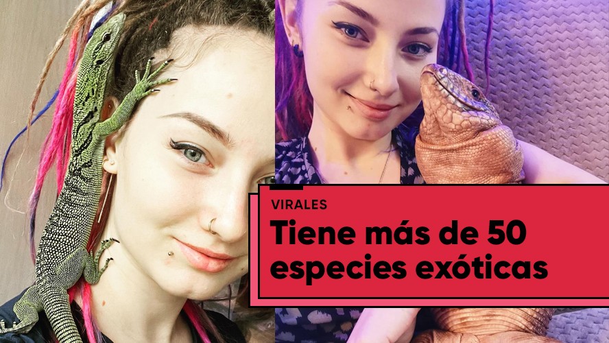 ¡Increíble! Una joven rusa tiene más de 50 especies exóticas en su hogar y es furor en TikTok | Virales