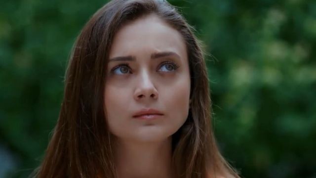 Capitulo 142 | Capítulos