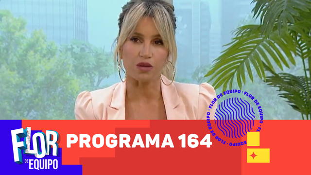 Programa 164 | Programas