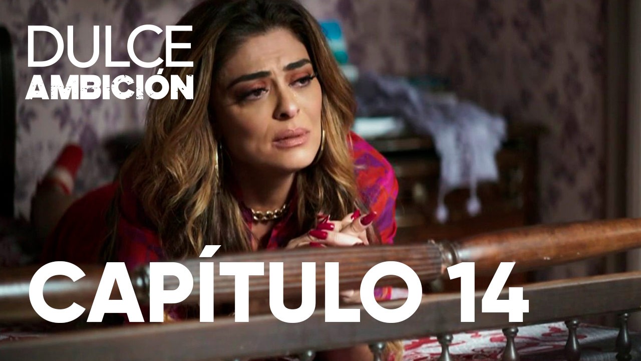 Capítulo 14 | Capítulos