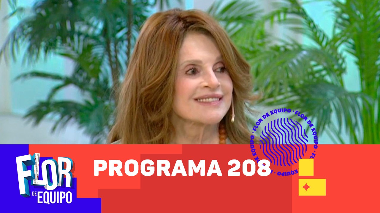 Programa 208 | Programas