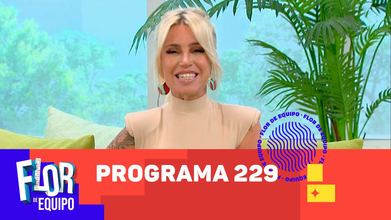 Programa 229 | Programas