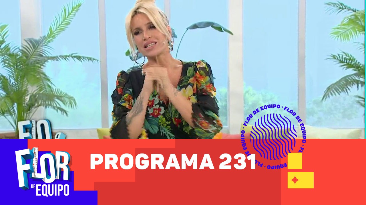 Programa 231 | Programas