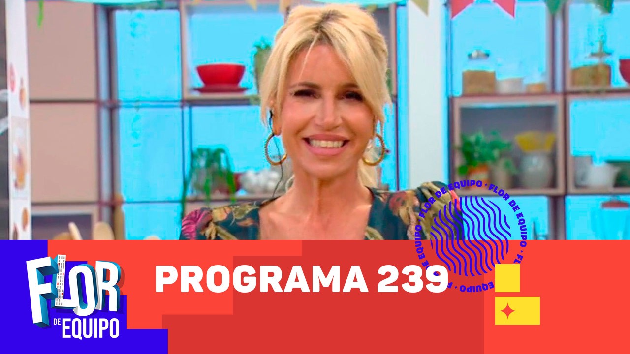 Programa 239 | Programas