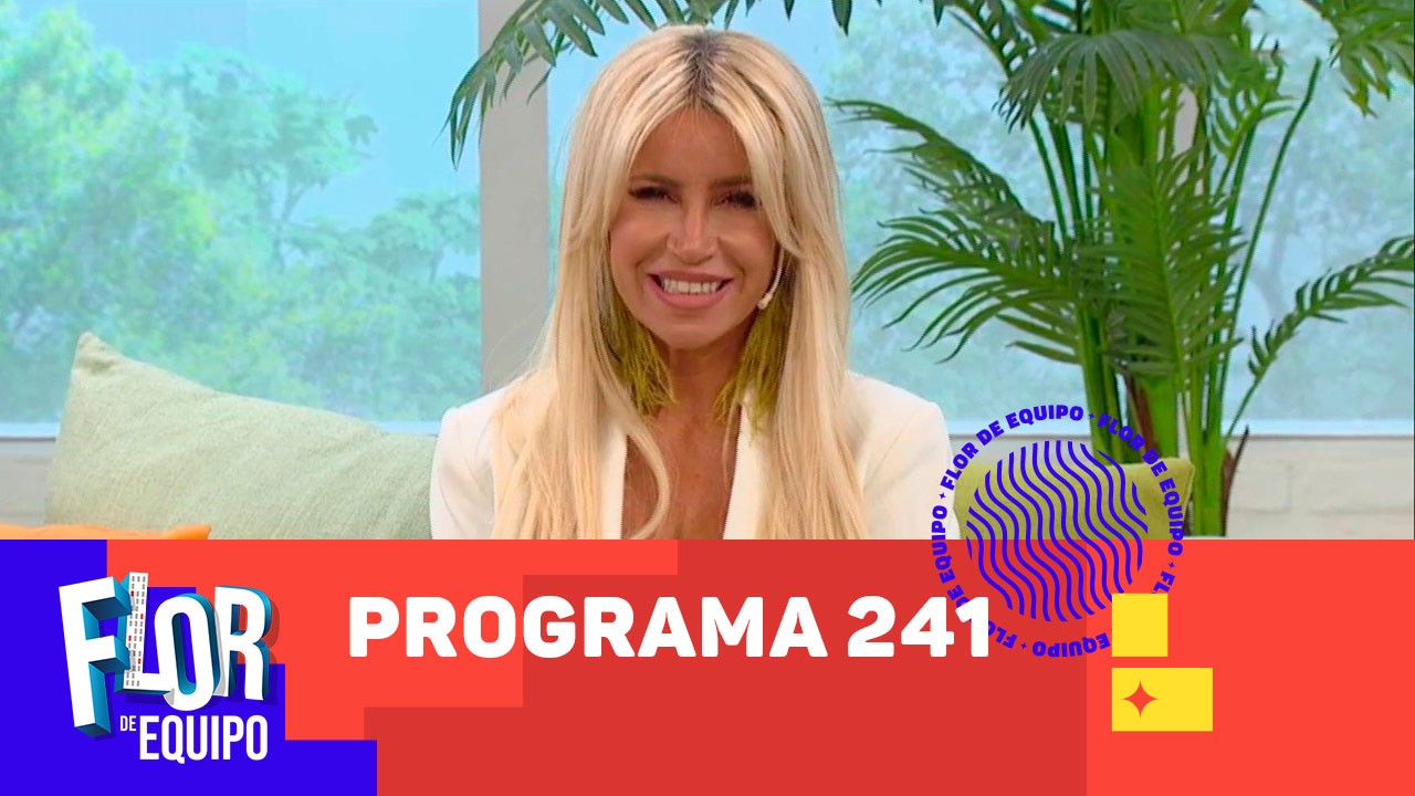 Programa 241 | Programas