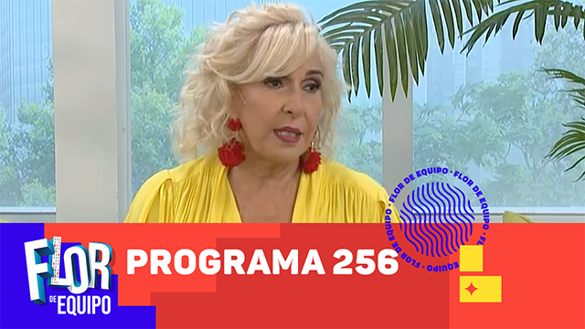 Programa 256 | Programas