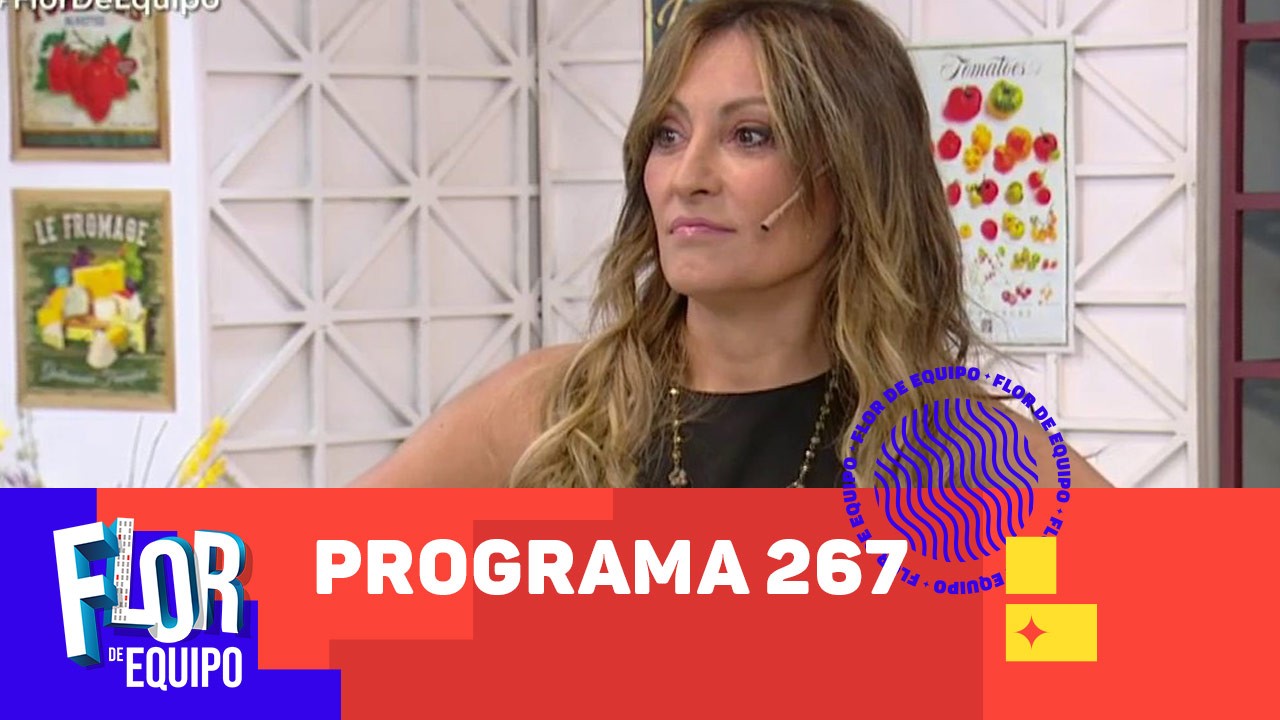 Programa 267 | Programas