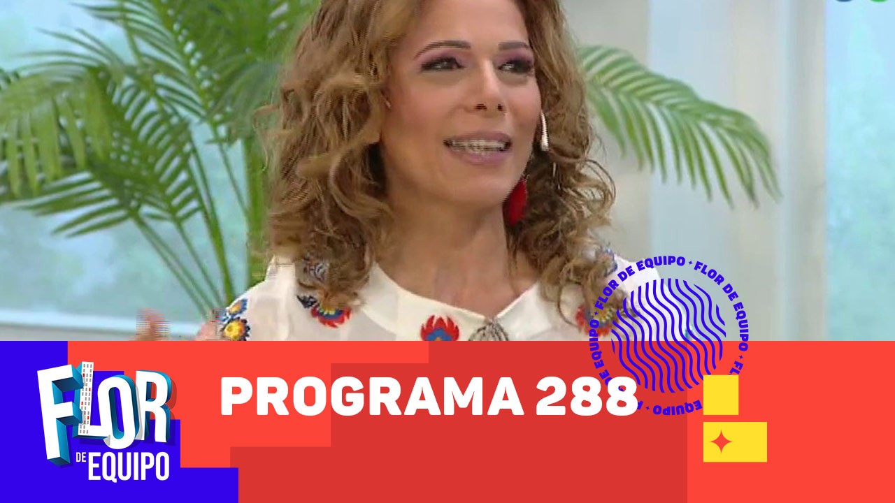 Programa 288 | Programas