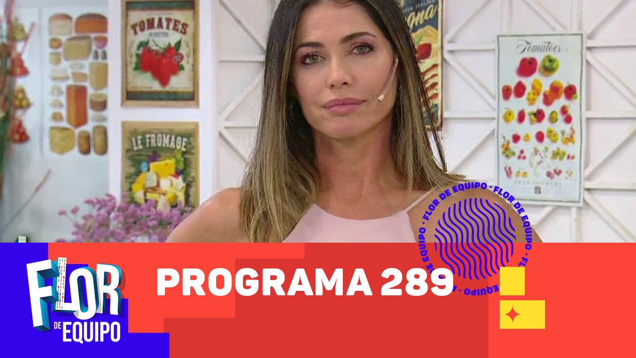 Programa 289 | Programas