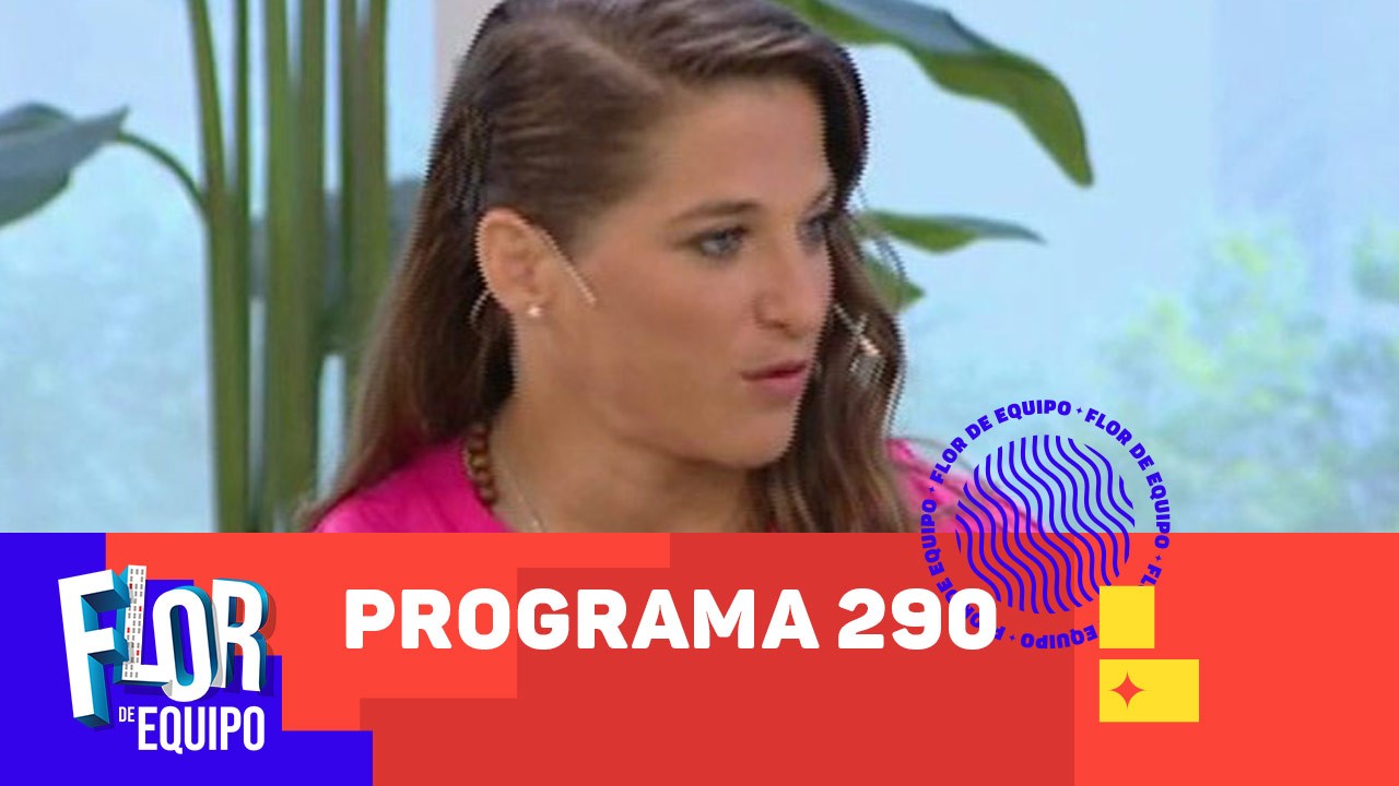 Programa 290 | Programas