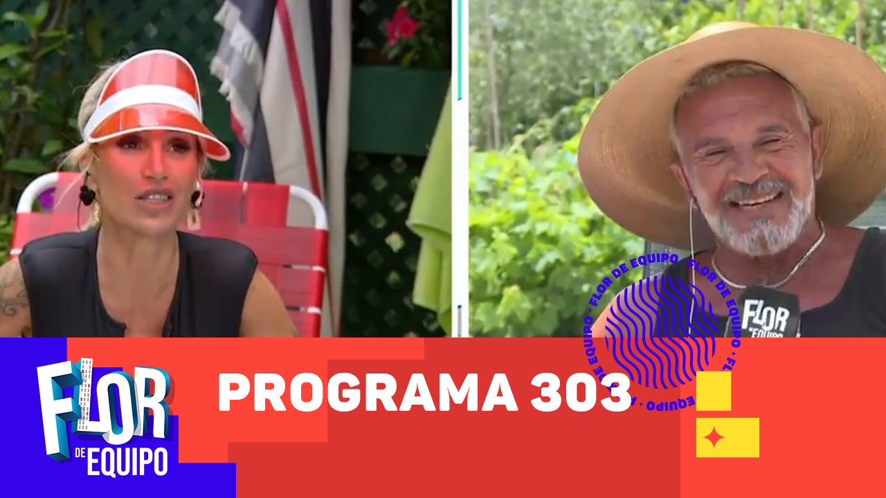 Programa 303 | Programas