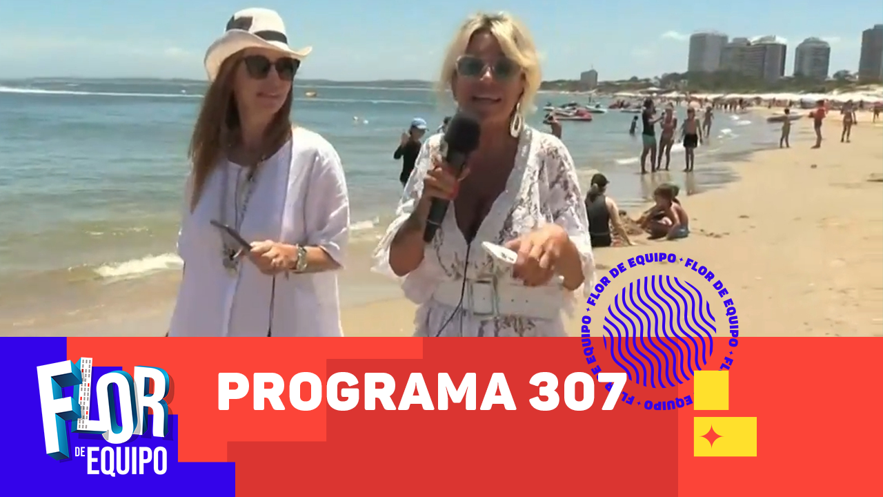 Programa 307 | Programas