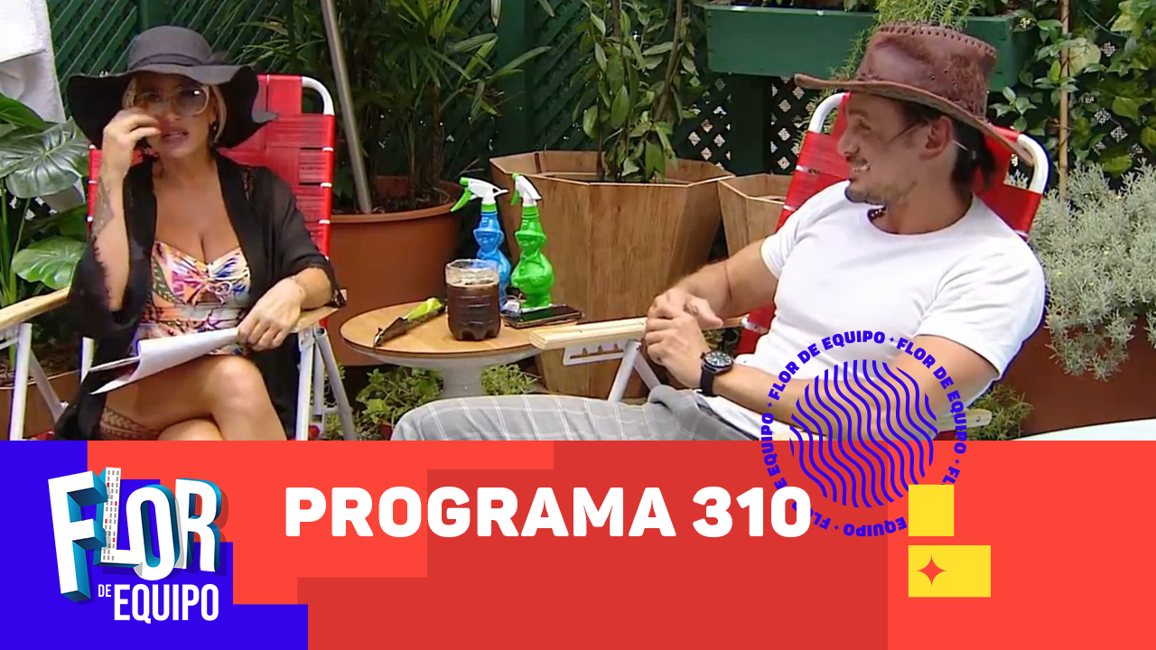Programa 310 | Programas