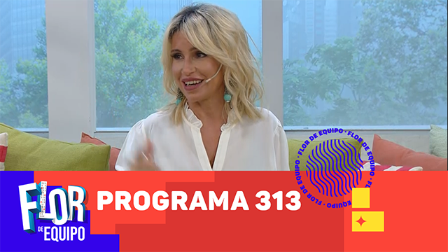 Programa 313 | Programas