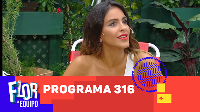 Programa 316 | Programas