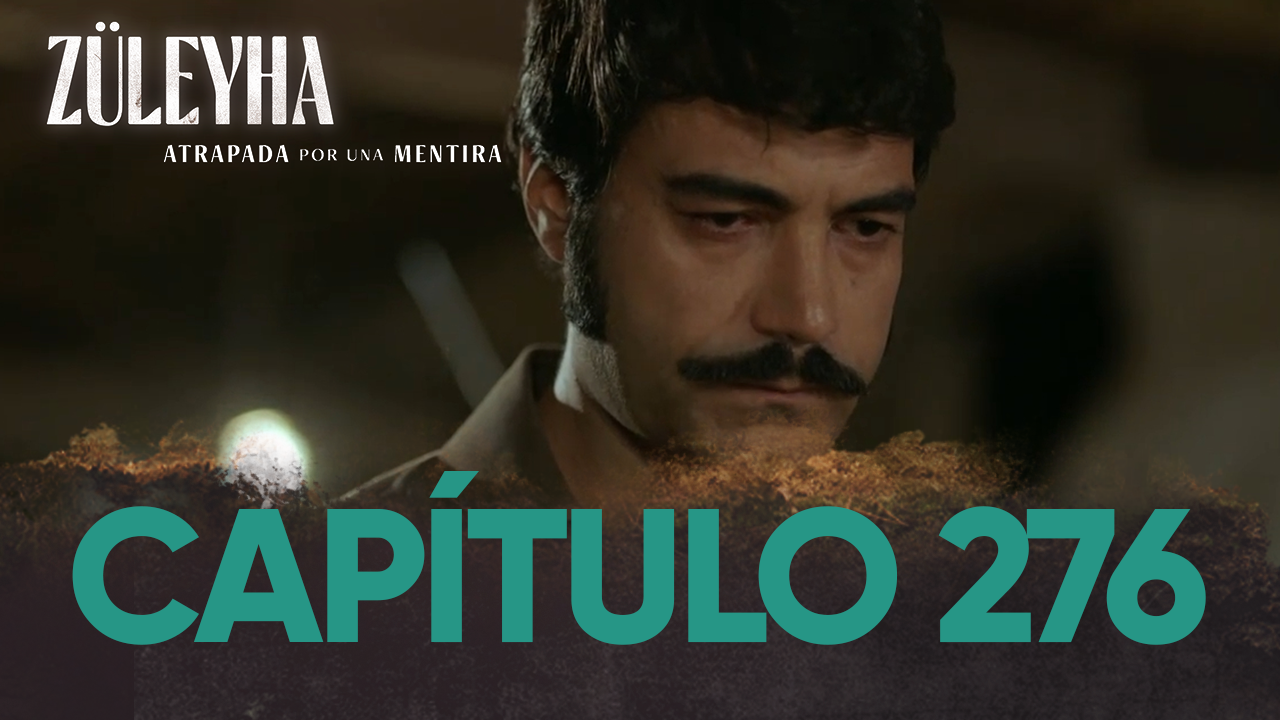 Capítulo 276 | Capítulos