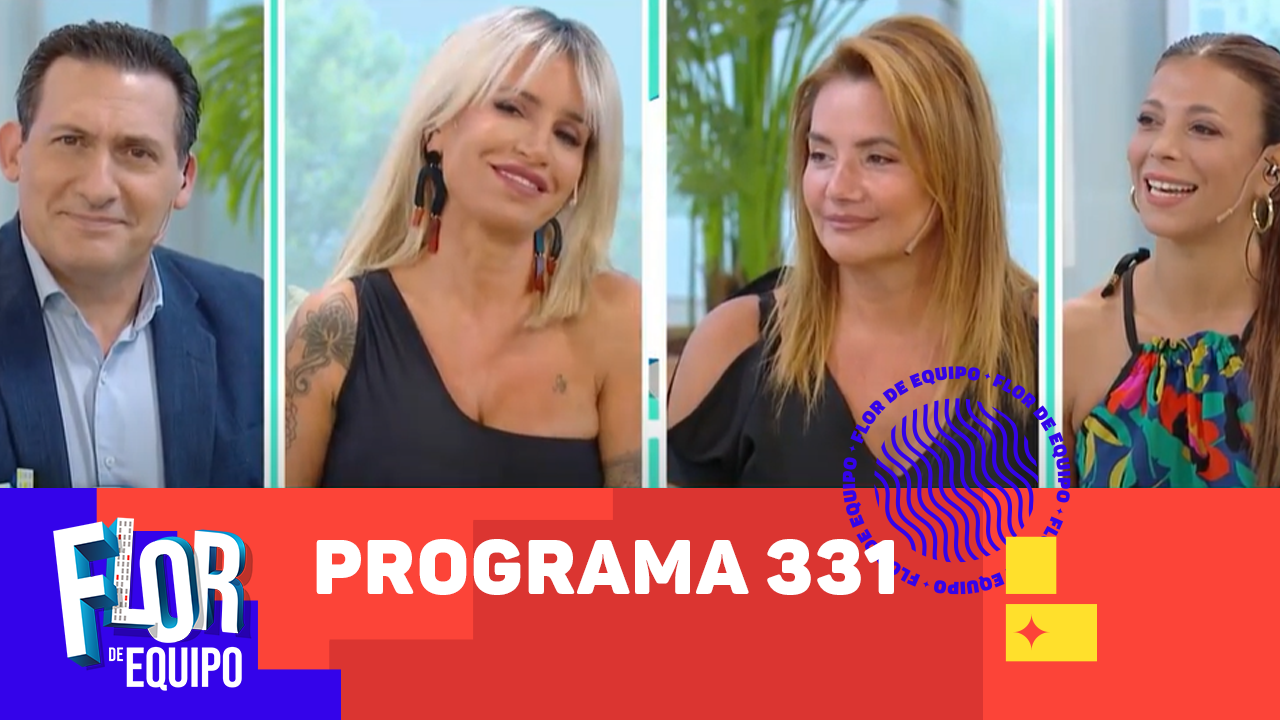 Programa 331 | Programas