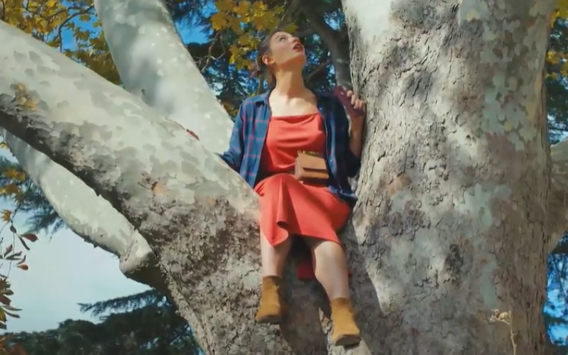 Capítulo 29 | Capítulos