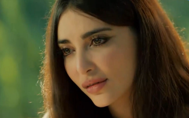 Capítulo 314 | Capítulos