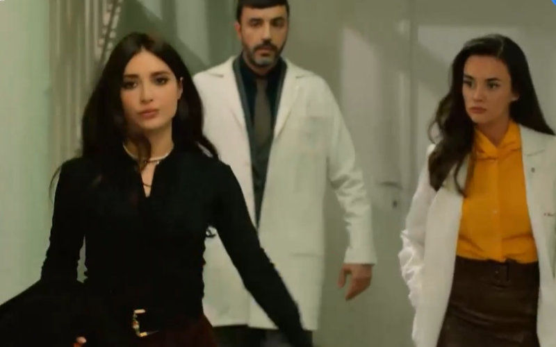 Capítulo 316 | Capítulos