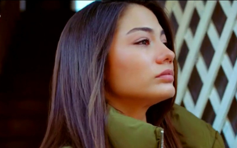 Capítulo 41 | Capítulos