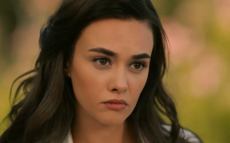 Capítulo 358 | Capítulos