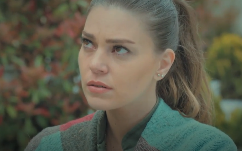 Capítulo 25 | Capítulos