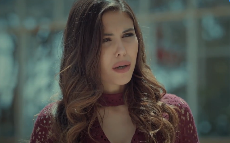 Capítulo 29 | Capítulos