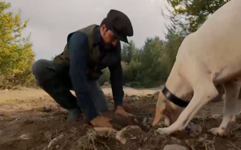 Capítulo 364 | Capítulos