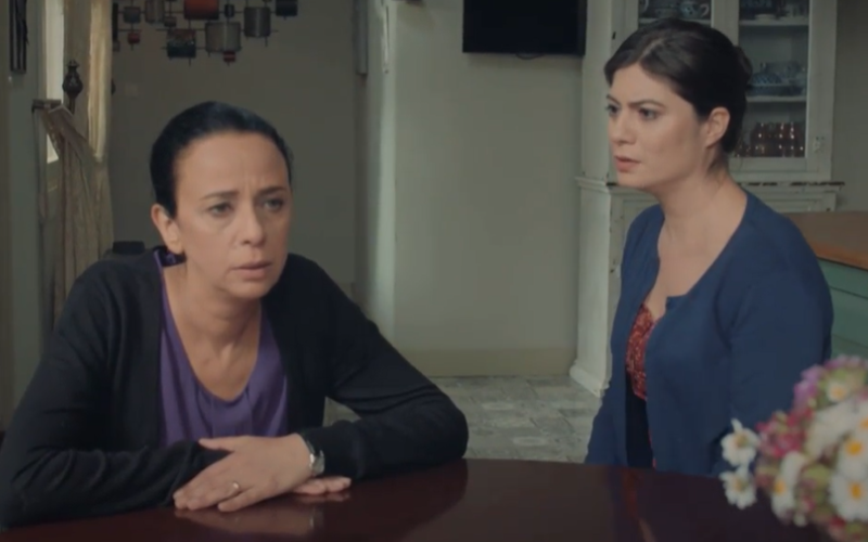 Capítulo 36 | Capítulos