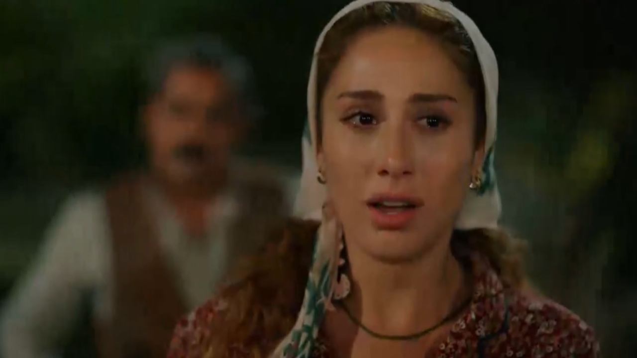 Capítulo 387 | Capítulos