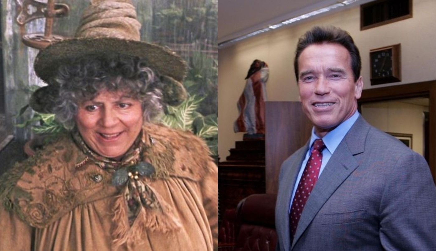 Una actriz acusó a Arnold Schwarzenegger de "bullying escatológico" | Espectáculos