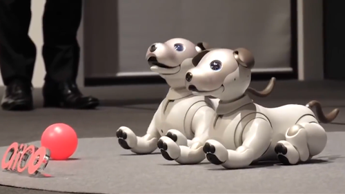 ¿Cómo serán las mascotas del futuro? | Episodios