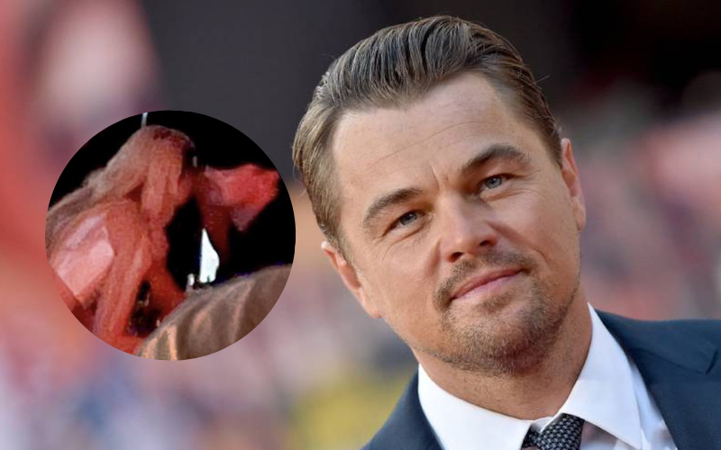 Gigi Hadid y Leonardo DiCaprio: las primeras imágenes del inesperado romance | Espectáculos